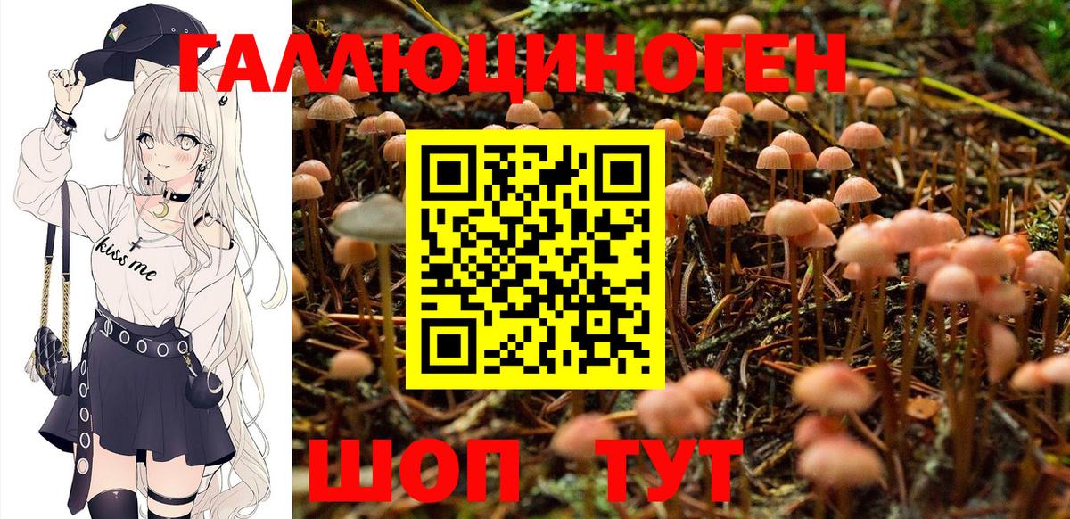 Псилоцибиновые грибы Magic Shrooms  Вход с VPN  Донской 